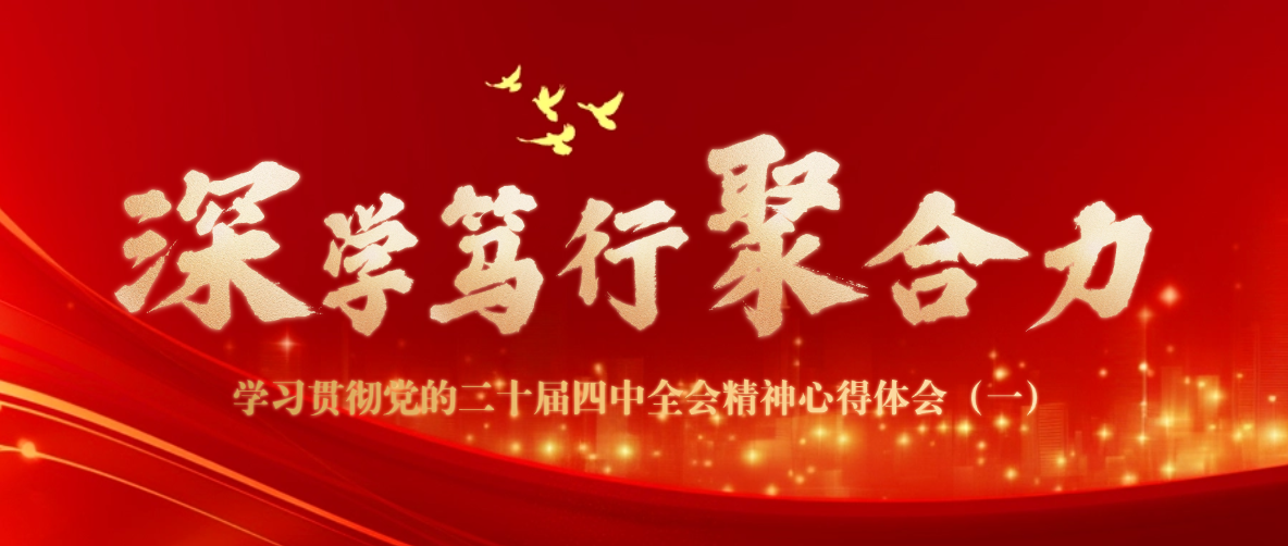 深学笃行聚合力 | 学习贯彻党的二十届四中全会精神心得体会（一）