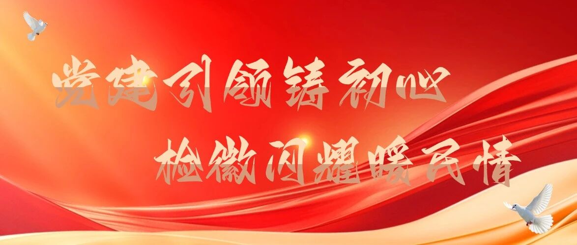 党建引领铸初心 检徽闪耀暖民情